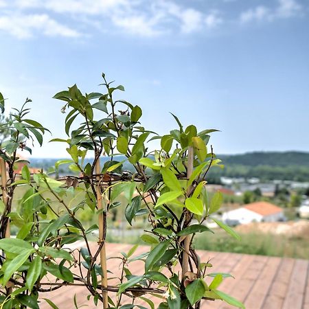 Bassillac L'Elegante Confort, Clim & Vue Imprenable מראה חיצוני תמונה